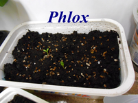 DSCN0136.webp