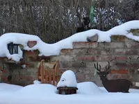 Grillplatz Eichhörnchen.webp
