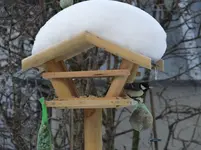 Vogelhaus.webp