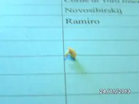 BILD2353.webp