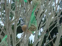 DSC02419.webp