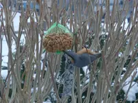 DSC02421.webp