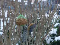 DSC02422.webp