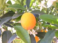 DSCN3167 (640x480).webp