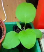 DSCF7556.2.webp