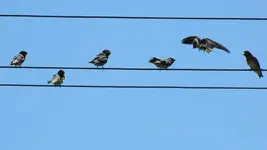 Copy of Fuetterzeit.... (2).webp