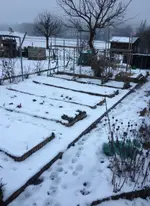Garten5.webp