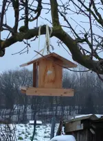 Garten3.webp