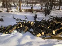 Feuernahrung.webp