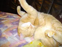 IMGP0190.webp