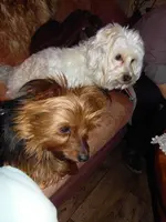 SDC15290.webp