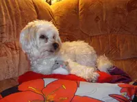 SDC15229.webp