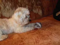 SDC15222.webp