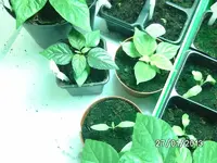 k-BILD2365.webp