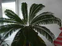 DSC07001.webp