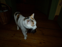 claudia tag1-03.webp