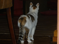 claudia tag1-02.webp