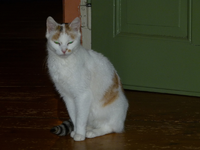 claudia tag1-01.webp