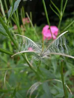 DSCN9668.webp