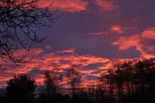 Morgenrot 29.1..webp