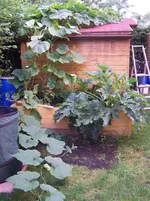 100_1601.webp
