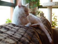 claudia jan.13-01.webp