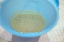 DSC_2453_Sauerteig_Tag_2.webp