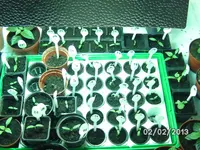 BILD2376.webp