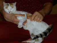 claudia jan.13-02.webp