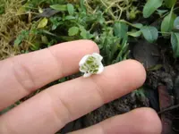 CIMG9777.webp