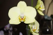 _DSC1097.webp