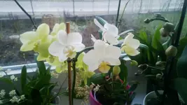 WP_20130202_001.webp
