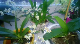 WP_20130202_002.webp