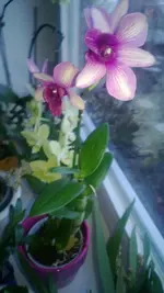 WP_20130202_003.webp