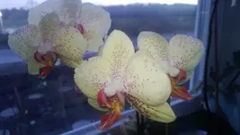 WP_20130202_004.webp