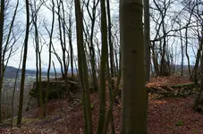 DSC_0064.webp