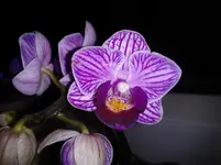 2012-12-01 21.11.34.webp