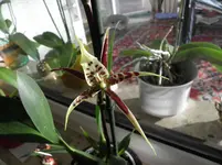 PB190001.webp