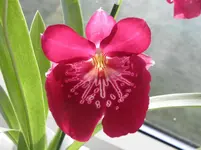 PB190003.webp