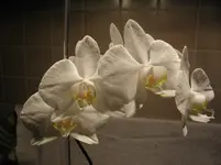 P1100010.webp