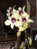 2012-10-02 09.51.15.webp