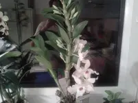 2012-10-12 23.13.40.webp