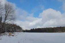 2013_0203Winter0011.webp