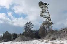 2013_0203Winter0014.webp