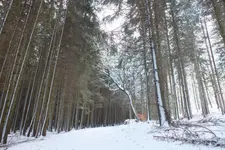 2013_0203Winter0001.webp