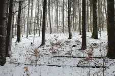 2013_0203Winter0006.webp