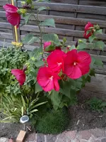 2012-08-31-030.webp