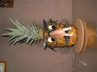 DSCN1849.webp