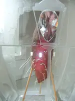 DSCF7006.webp
