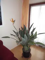 DSCF9032.webp